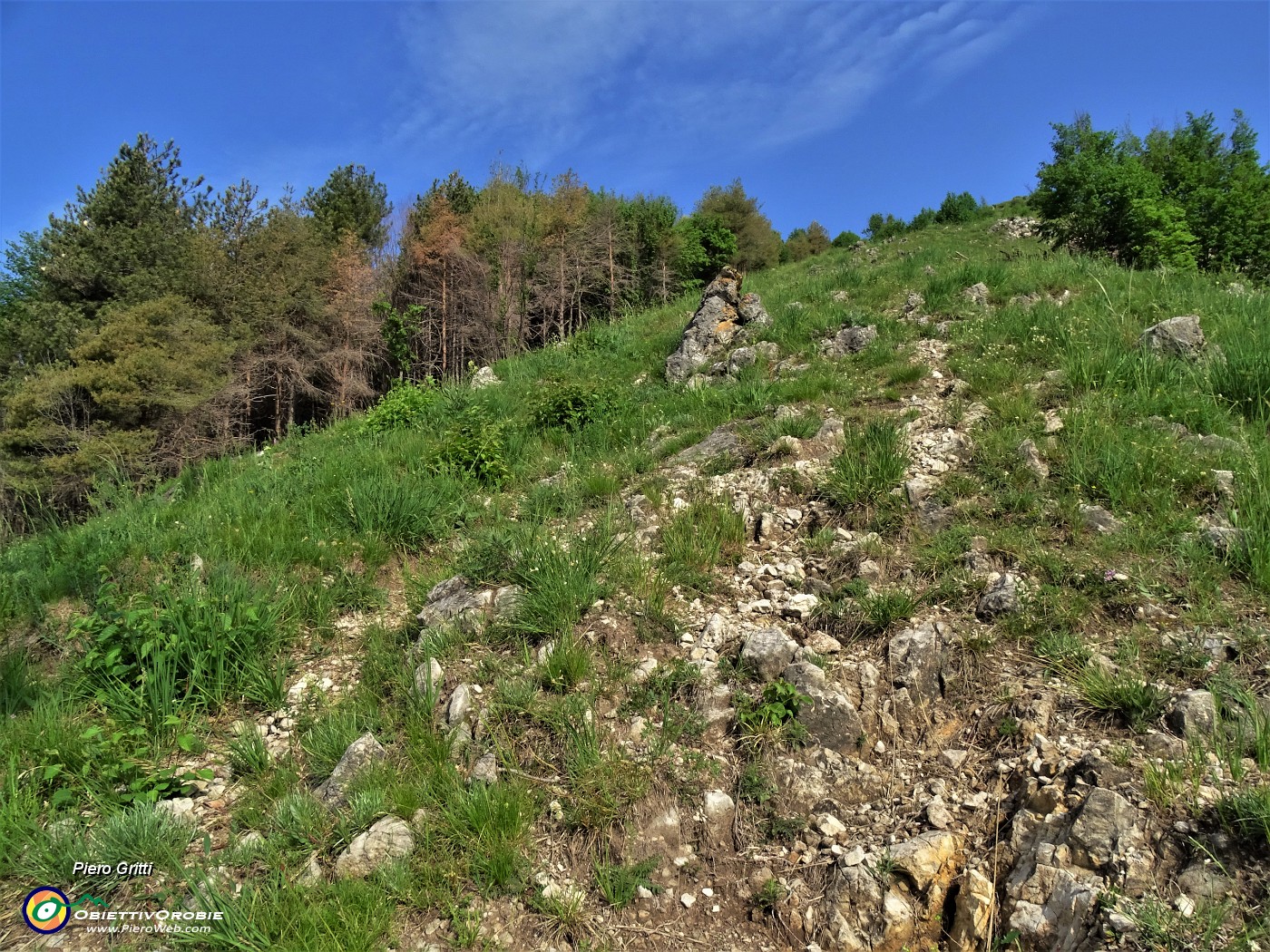 18 Dopo breve tratto della linea tagliafuoco in falsopiano avanti in ripida salita verso il Pizzo.JPG